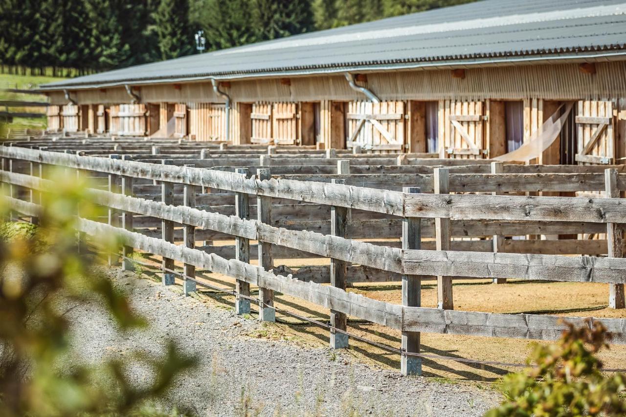 Ranchhouse Smoker- Westernstable - Horse Elterlein Zewnętrze zdjęcie