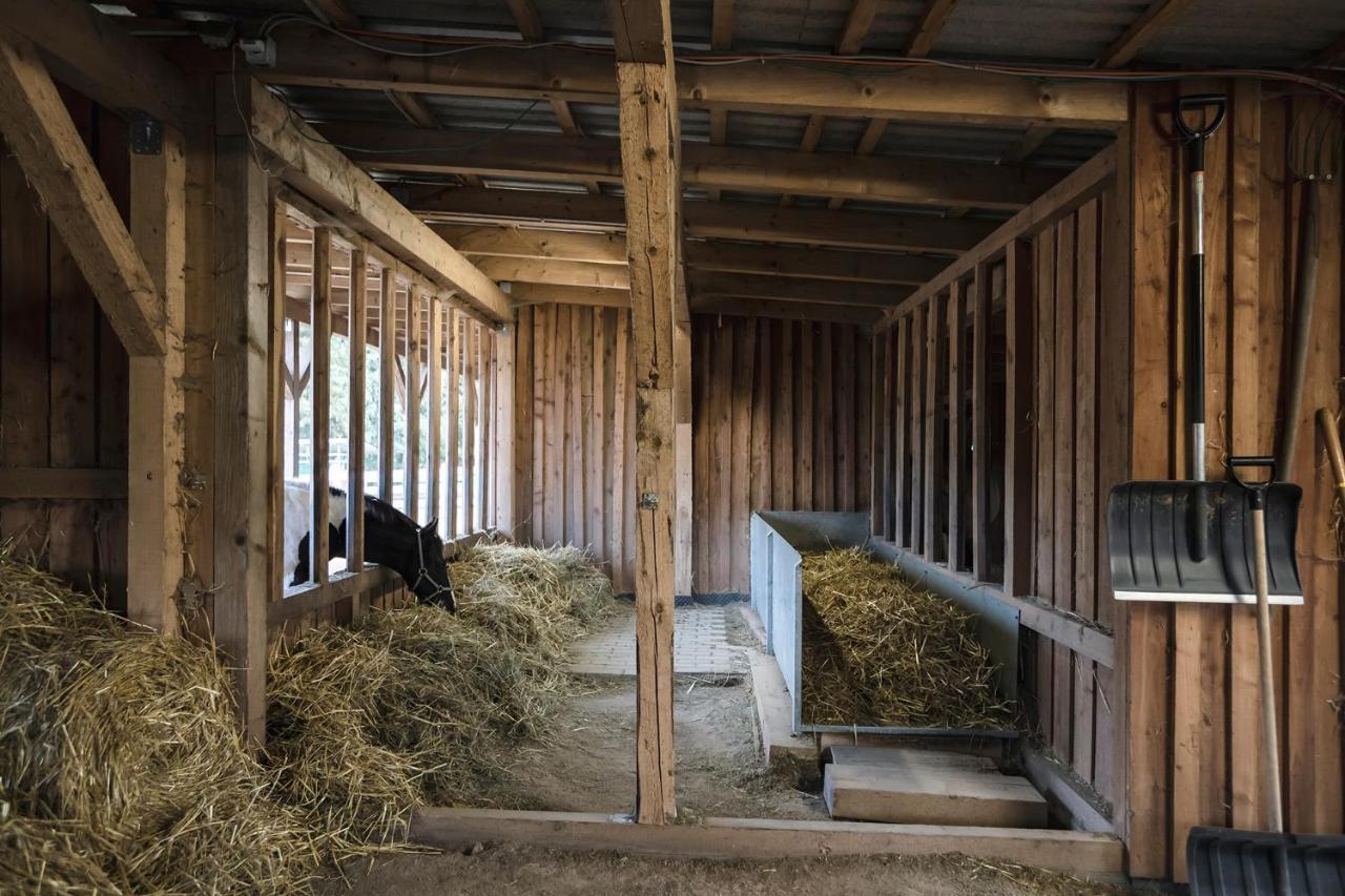 Ranchhouse Smoker- Westernstable - Horse Elterlein Zewnętrze zdjęcie